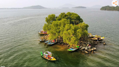 Photo of Jharkhand Tourism: प्रकृति, इंजीनियरिंग और पर्यटन का अद्भुत संगम है झारखंड का मैथन डैम