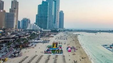 Photo of टीचर-नर्स और यूट्यूबर भी पा सकते हैं UAE का गोल्डन वीजा