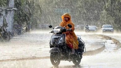 Photo of यूपी : प्रदेश के 24 जिलों में आज होगी भारी बारिश, स्कूल-कॉलेज हुए बंद