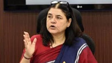 Photo of उत्तराखंड: बीजेपी नेता मेनका गांधी ने वन महकमे की भूमिका पर उठाए सवाल