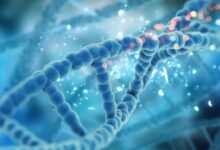 Photo of आप कितना लंबा जिएंगे? जवाब आपकी लाइफस्टाइल में नहीं, आपके DNA में छिपा है