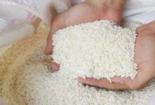 Photo of PMGKAY के तहत फ्री में मिलने वाले अनाज पर सरकार का बड़ा फैसला