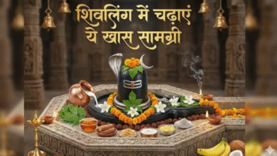 Photo of कामदा एकादशी पर शिवलिंग में चढ़ाएं ये चीजें
