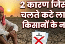 Photo of  22वीं किस्त के इंतजार के बीच लाखों किसानों के नाम कटे, कारण चल गया पता