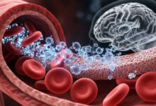 Photo of सावधान! खून के रास्ते आपके दिमाग तक पहुंच रहा है ‘नैनो प्लास्टिक’